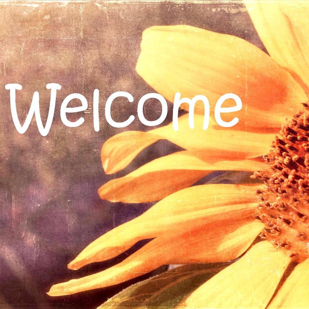 Hi! I'm Elizabeth.